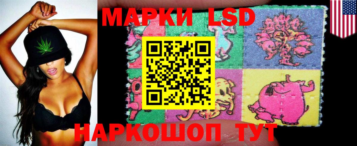 Гурьевск  Наркотические марки 1500мкг  Наркотические марки  Наркотические марки 1500мкг  Вход с VPN 