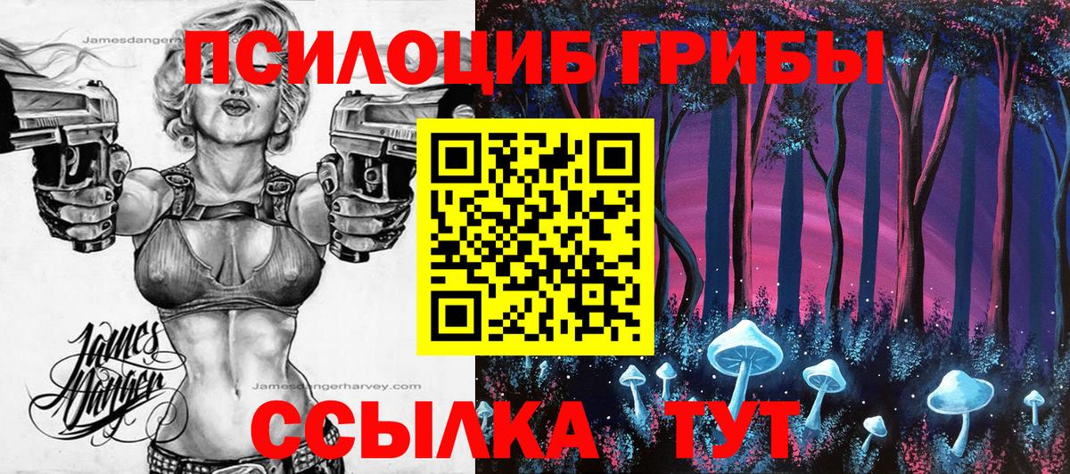 Псилоцибиновые грибы Magic Shrooms Гурьевск